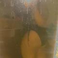  is Female Escorts. | Brunswick | Georgia | United States | AmorousHug