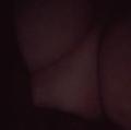  is Female Escorts. | Chicago | Illinois | United States | AmorousHug