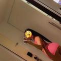  is Female Escorts. | Reading | Pennsylvania | United States | AmorousHug