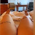  is Female Escorts. | Myrtle Beach | South Carolina | United States | AmorousHug