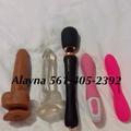  is Female Escorts. | Daytona | Florida | United States | AmorousHug