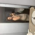  is Female Escorts. | Pensacola | Florida | United States | AmorousHug