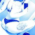  is Female Escorts. | St Joseph | Missouri | United States | AmorousHug