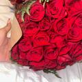  is Female Escorts. | Dayton | Ohio | United States | AmorousHug