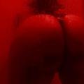  is Female Escorts. | Seattle | Washington | United States | AmorousHug