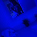  is Female Escorts. | Biloxi | Mississippi | United States | AmorousHug