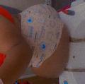  is Female Escorts. | Toledo | Ohio | United States | AmorousHug
