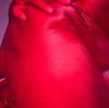  is Female Escorts. | Tacoma | Washington | United States | AmorousHug