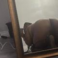  is Female Escorts. | San Gabriel Valley | California | United States | AmorousHug