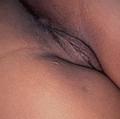  is Female Escorts. | West Palm Beach | Florida | United States | AmorousHug