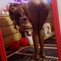  is Female Escorts. | Oklahoma City | Oklahoma | United States | AmorousHug