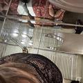  is Female Escorts. | Everett | Washington | United States | AmorousHug
