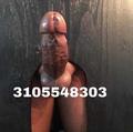  is Female Escorts. | Brooklyn | New York | United States | AmorousHug