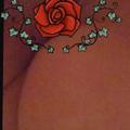  is Female Escorts. | Madison | Wisconsin | United States | AmorousHug