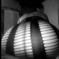  is Female Escorts. | Portland | Oregon | United States | AmorousHug
