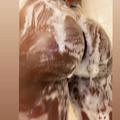  is Female Escorts. | Huntsville | Alabama | United States | AmorousHug