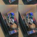  is Female Escorts. | Auburn | Alabama | United States | AmorousHug