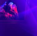  is Female Escorts. | Windsor | Ontario | Canada | AmorousHug