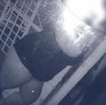 is Female Escorts. | St. Louis | Missouri | United States | AmorousHug