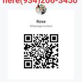  is Female Escorts. | Fredericksburg | Virginia | United States | AmorousHug