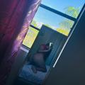  is Female Escorts. | Pittsburgh | Pennsylvania | United States | AmorousHug