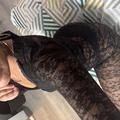 is Female Escorts. | Phoenix | Arizona | United States | AmorousHug