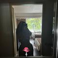  is Female Escorts. | Jacksonville | Florida | United States | AmorousHug