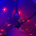  is Female Escorts. | Miami | Florida | United States | AmorousHug