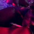  is Female Escorts. | Charlotte | North Carolina | United States | AmorousHug