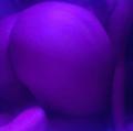  is Female Escorts. | Oklahoma City | Oklahoma | United States | AmorousHug