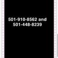  is Female Escorts. | Little Rock | Arkansas | United States | AmorousHug