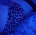  is Female Escorts. | Fort Collins | Colorado | United States | AmorousHug