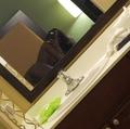  is Female Escorts. | Atlanta | Georgia | United States | AmorousHug