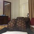  is Female Escorts. | Charlotte | North Carolina | United States | AmorousHug