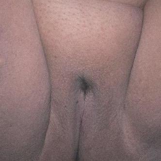  is Female Escorts. | Laredo | Texas | United States | AmorousHug