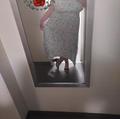  is Female Escorts. | Green Bay | Wisconsin | United States | AmorousHug