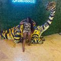  is Female Escorts. | Jersey Shore | New Jersey | United States | AmorousHug
