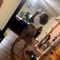  is Female Escorts. | Atlanta | Georgia | United States | AmorousHug