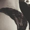  is Female Escorts. | Indianapolis | Indiana | United States | AmorousHug