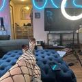  is Female Escorts. | Binghamton | New York | United States | AmorousHug