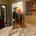  is Female Escorts. | Omaha | Nebraska | United States | AmorousHug