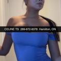 is Female Escorts. | Brantford | Ontario | Canada | AmorousHug