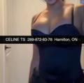  is Female Escorts. | Kitchener | Ontario | Canada | AmorousHug