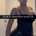  is Female Escorts. | Kitchener | Ontario | Canada | AmorousHug