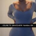  is Female Escorts. | Barrie | Ontario | Canada | AmorousHug