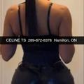  is Female Escorts. | Barrie | Ontario | Canada | AmorousHug