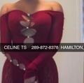  is Female Escorts. | Barrie | Ontario | Canada | AmorousHug