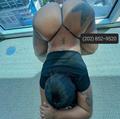  is Female Escorts. | Charleston | South Carolina | United States | AmorousHug