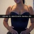 is Female Escorts. | Niagara | Ontario | Canada | AmorousHug