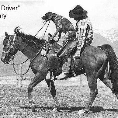  is Female Escorts. | Red Deer | Alberta | Canada | AmorousHug